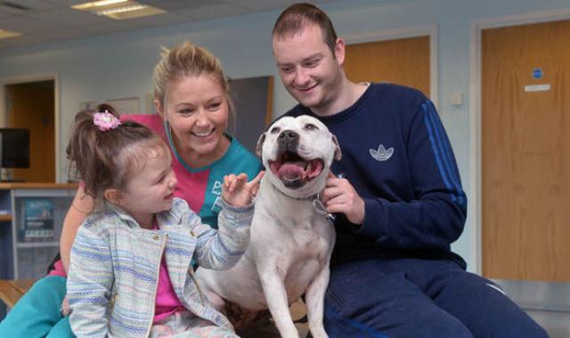 Foto Dopo tre anni il microchip riunisce il cane e la sua famiglia