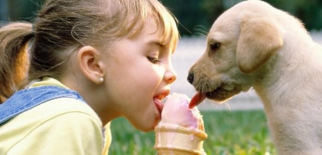 tenia nel cane