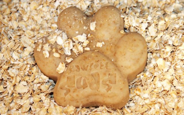 biscotti avena per cani