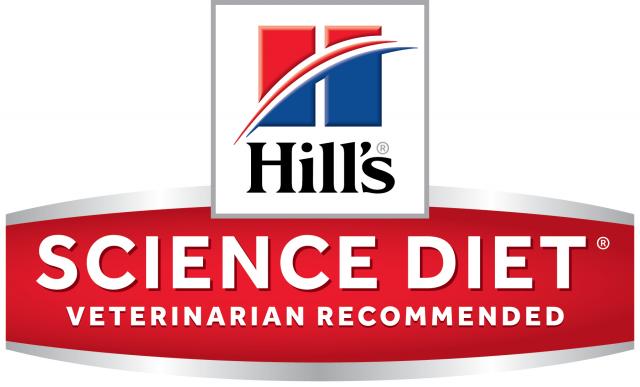 hills cane anziano
