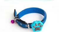 paw tracker gps per cani