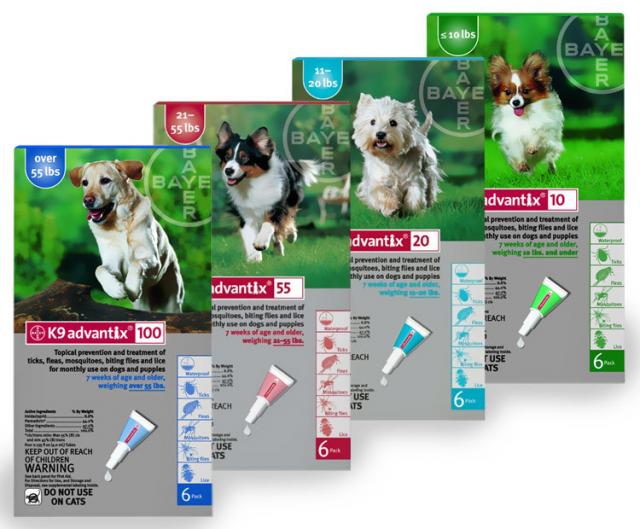 Foto Advantix cane