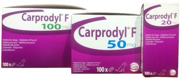 Foto Carprodyl - Farmaco per Cani