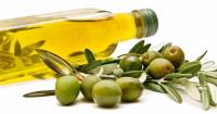 olive per cani