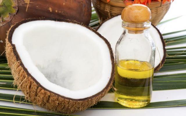 Foto Olio di cocco per Cani: benefici e consigli