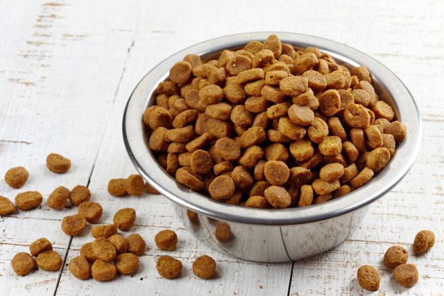 Foto Cibo per cani senza glutine: alcuni consigli
