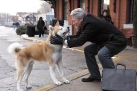 hachiko