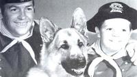 rin tin tin