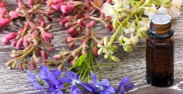Foto Fiori di Bach per Gatti