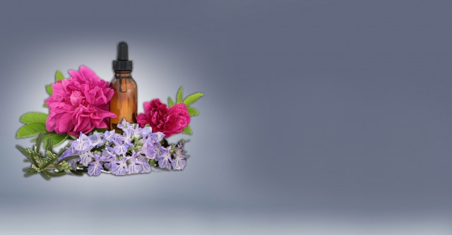 fiori di bach per animali