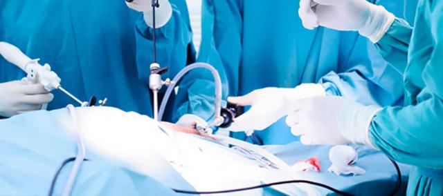 sterilizzare cane laparoscopia