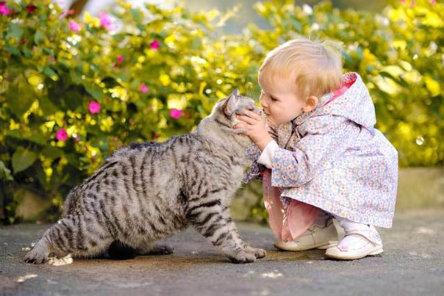 Foto Avere un gatto previene l'asma nei bambini?