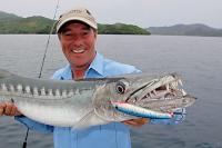 barracuda pesca