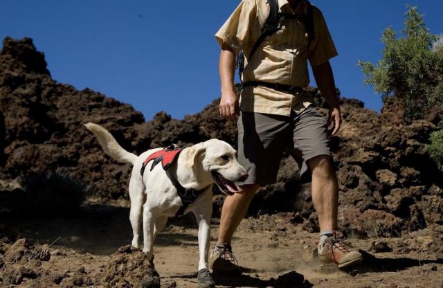 Foto Come fare escursioni con il Cane