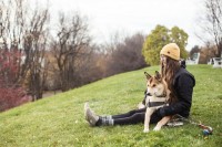 cane per disabili