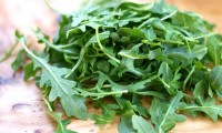 rucola