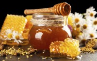 tipi di miele api