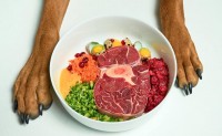 carne cruda al cane