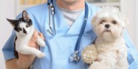 vaccino cane