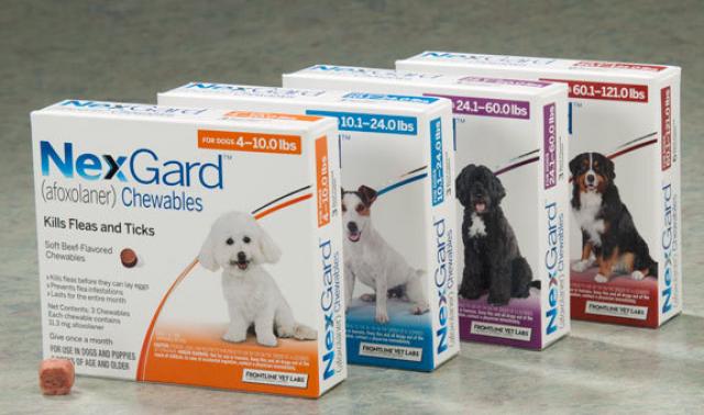 Foto Afoxolaner (NexGard) - Farmaci per Cani