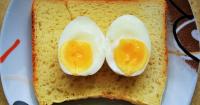 foto cane può mangiare uova