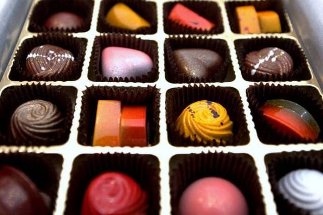 foto cioccolato tossico cane